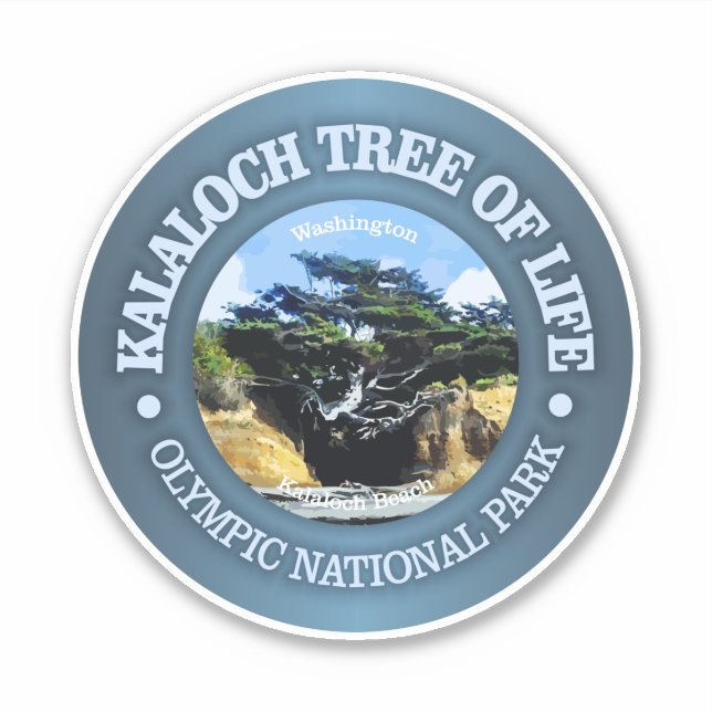 Kalaloch Tree of Life Sticker (Front)