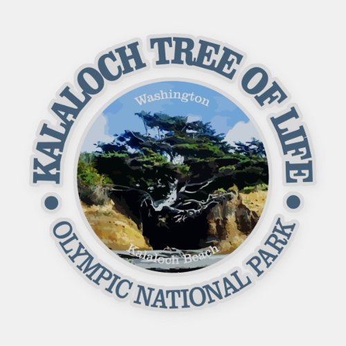 Kalaloch Tree of Life Sticker