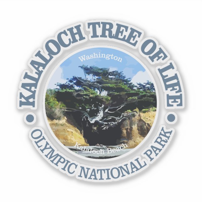 Kalaloch Tree of Life Sticker (Front)