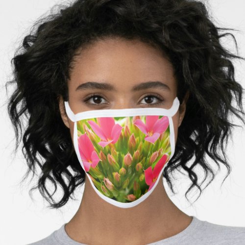 Kalanchoe blossfeldiana face mask