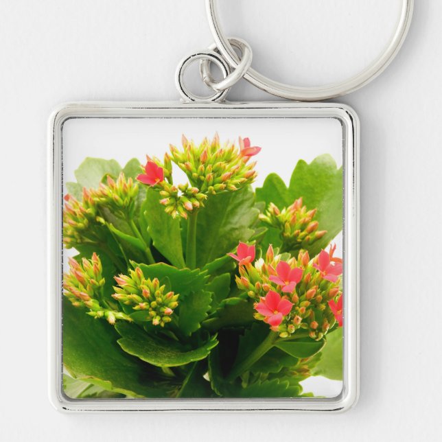 Kalanchoe blossfeldiana keychain (Front)