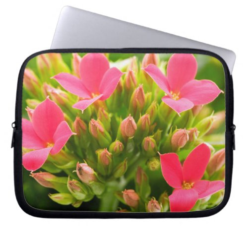 Kalanchoe blossfeldiana laptop sleeve