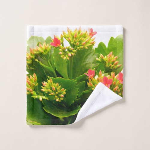 Kalanchoe blossfeldiana wash cloth