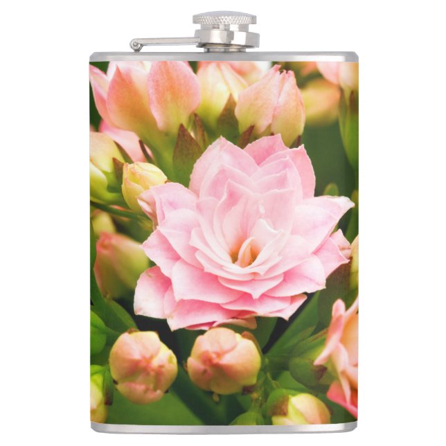 Kalanchoe calandiva flask (Front)