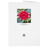 Kalanchoe Flower Cards (Back)