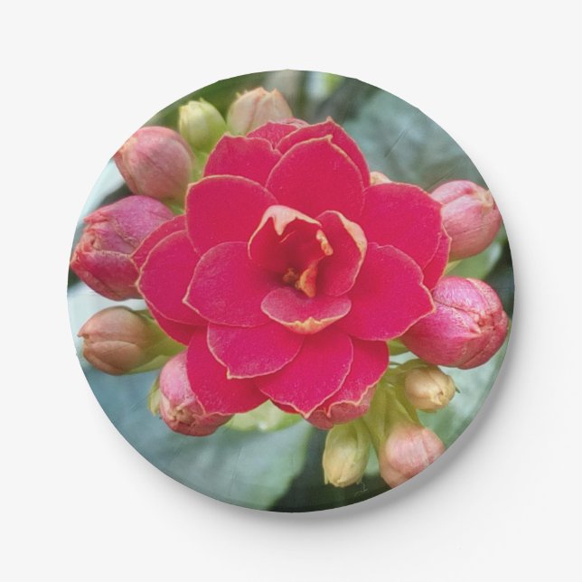 Kalanchoe Flower Paper Plates (Front)