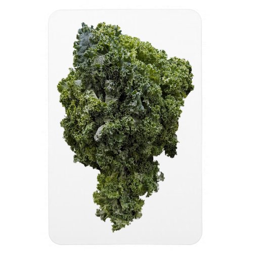Kale Photo Magnet