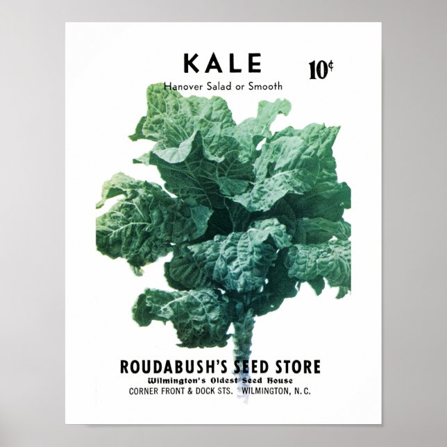 Kale Seed Packet Label Poster (Front)