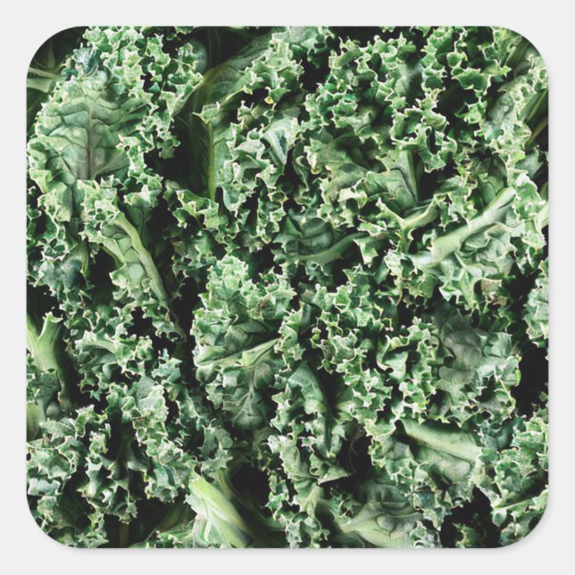 Kale Square Sticker (Front)