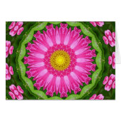 Kaleidoscope Aster (Front Horizontal)