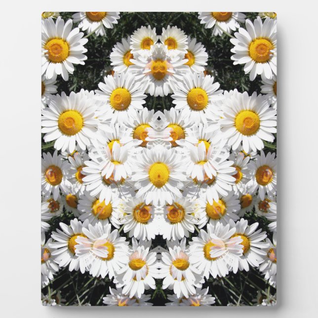Kaleidoscope Daisies Pattern Plaque (Front)