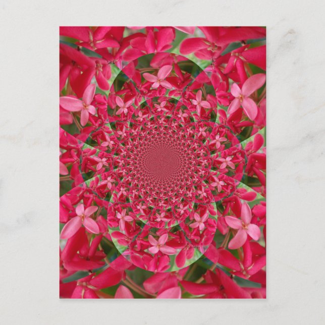 Kaleidoscope of Crimson: Blood Milkweed Flower Art Postcard (Front)