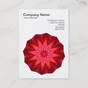 Kaleidoscopic 260614(3) business card