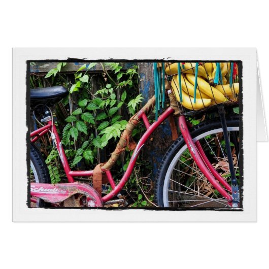 Kali Bike (Front Horizontal)