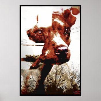 Kali Doggy Poster by tommynoshitsky at Zazzle