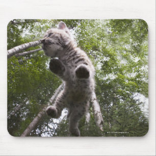 kalispell, montana, united states of america mouse pad