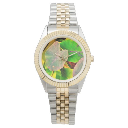 Kalo Watch