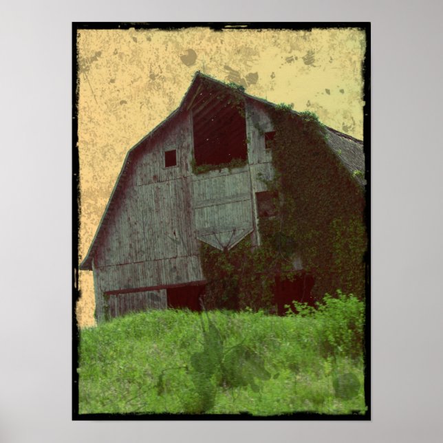 Kalona Barn and Ivy Poster (Front)