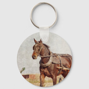 Kalona, Iowa Amish Horse and Buggy Keychain