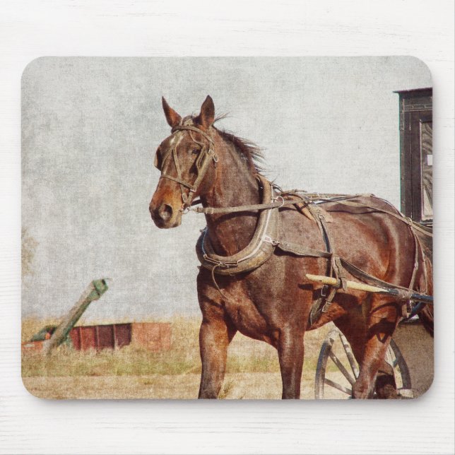Kalona, Iowa Amish Horse and Buggy Mouse Pad (Front)