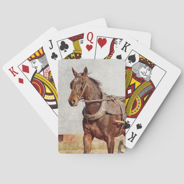 Kalona, Iowa Amish Horse and Buggy Poker Cards (Back)