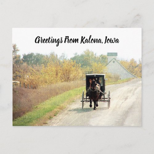Kalona Iowa Autumn Amish Horse and Buggy Postcard