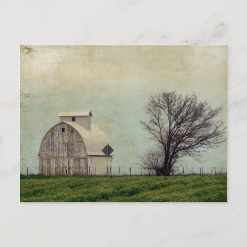 Kalona Iowa Fields and Barn With Tree Postcard