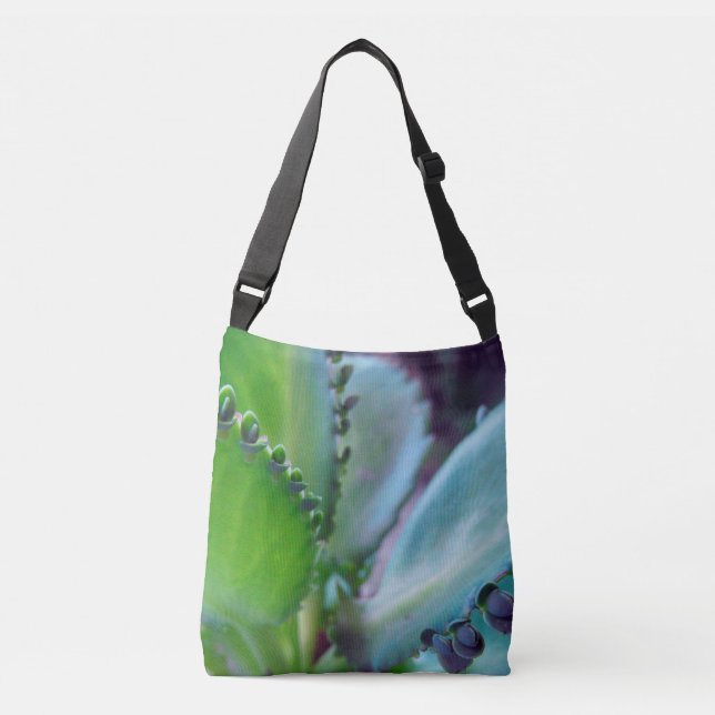 Kalonchoe Colors Crossbody Bag (Front)