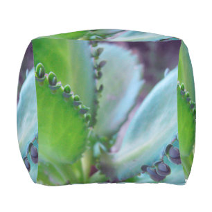 Kalonchoe Colors Outdoor Pouf