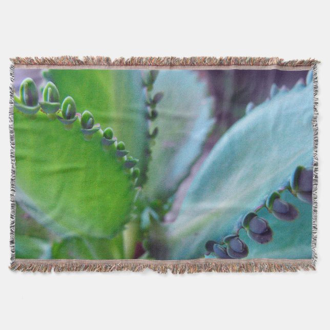 Kalonchoe Colors Throw Blanket (Front)