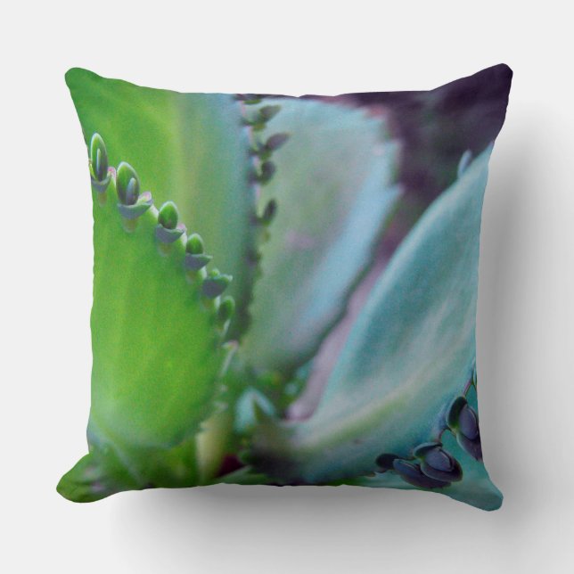 Kalonchoe Colors Throw Pillow (Front)