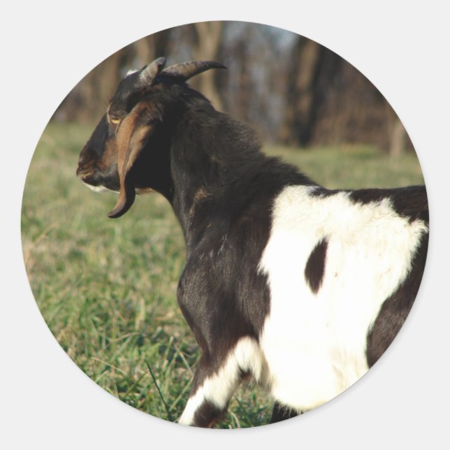 Kalvin Classic Round Sticker (Front)