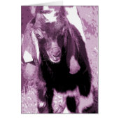 Kalvin in Purple (Front)