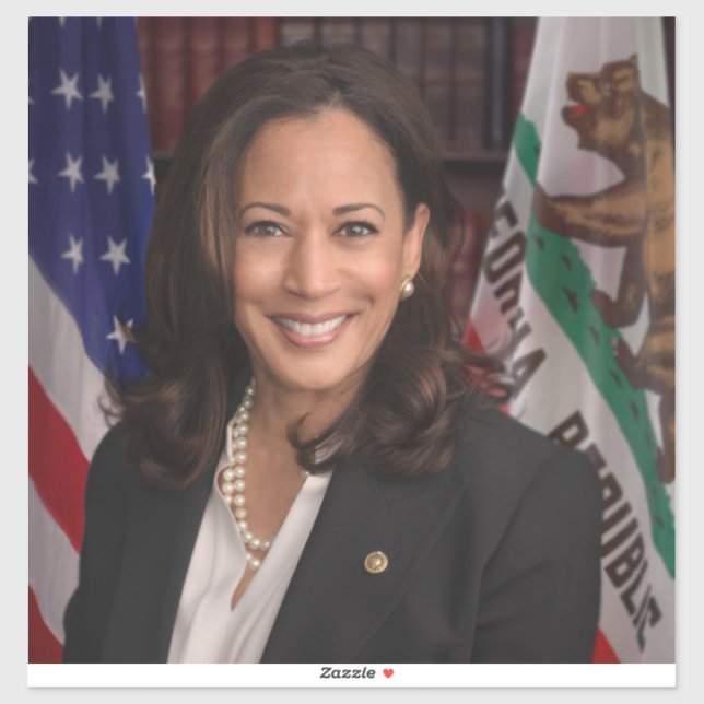Kamala Harris Candidate for President US 2024 Sticker (Sheet)