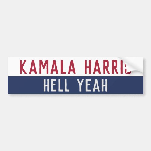 Kamala Harris Election Anti Trump Pro Democracy  Bumper Sticker