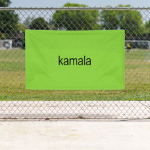 Kamala Harris is Brat