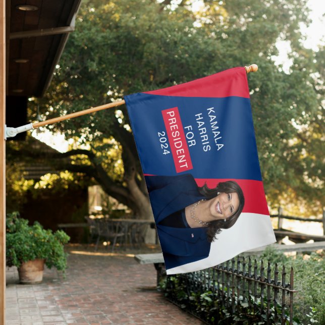 Kamala Harris President 2024 Fight For Democracy House Flag (In SItu)