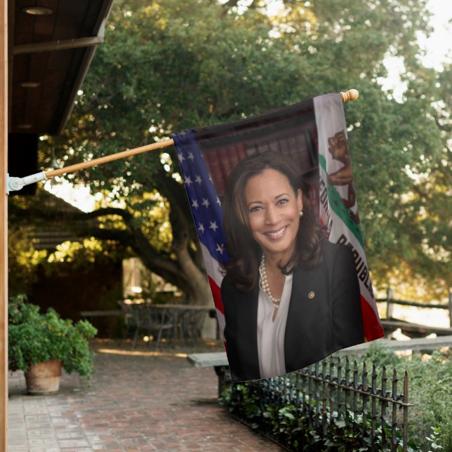 Kamala Harris US Vice President, Biden 2024 House Flag (In SItu)