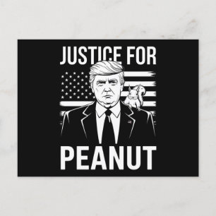 Kamala Trump 2024 Election I Didn't Vote For Him Postcard