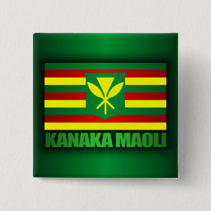 Kanaka Maoli Flag Pinback Button