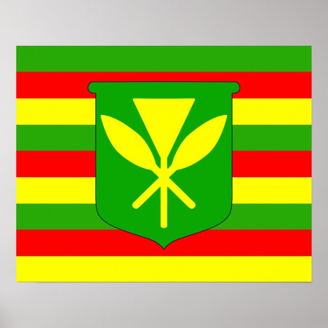Kanaka Maoli Flag Poster (Front)