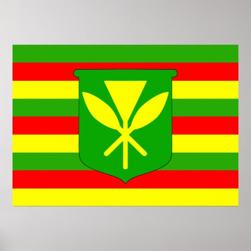 Kanaka Maoli Flag Poster