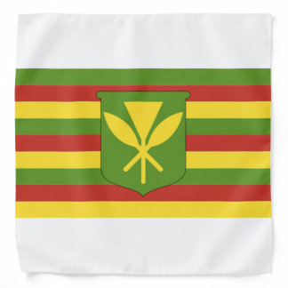 Kanaka Maoli Hawaiian Flag Bandana