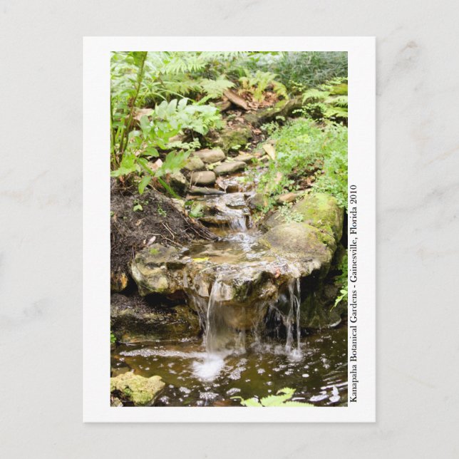 Kanapaha Gardens - Gainesville 002 Postcard (Front)