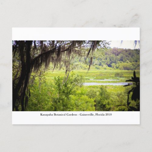 Kanapaha Gardens _ Gainesville 012 Postcard