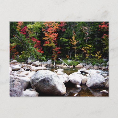 Kancamagus Highway in Autumn Postcard