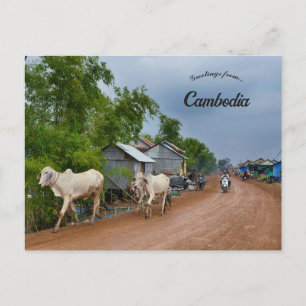 Kandal Province Cambodia Postcard