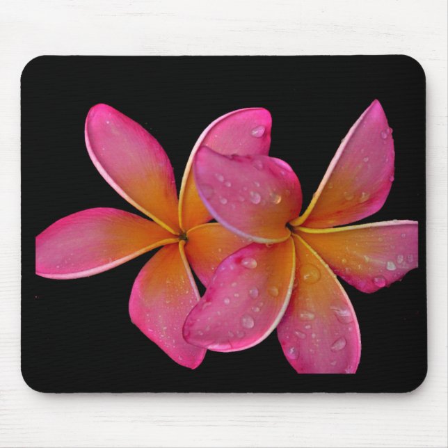 Kaneohe Sunburst Plumeria Mouse Pad (Front)