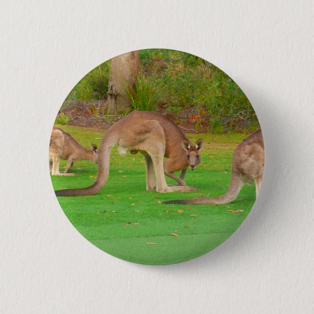 kanga button (Front)