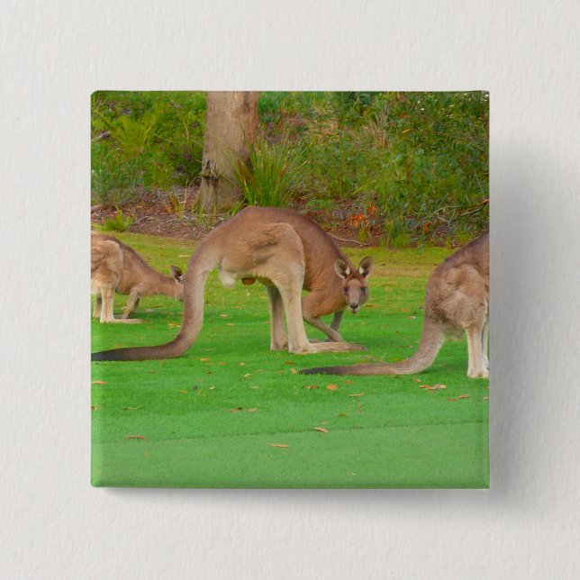 kanga pinback button (Front)